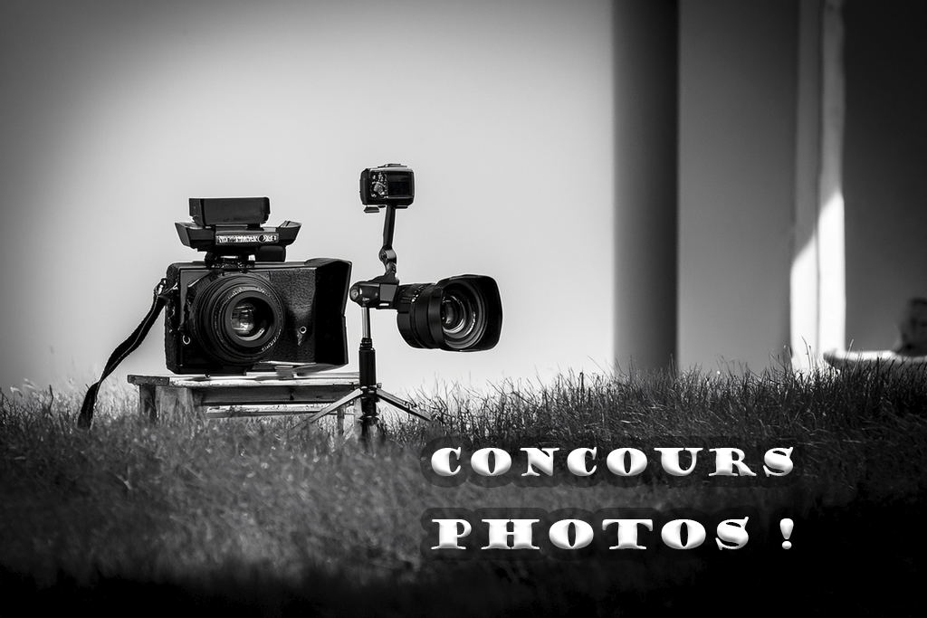 concours photos 2025